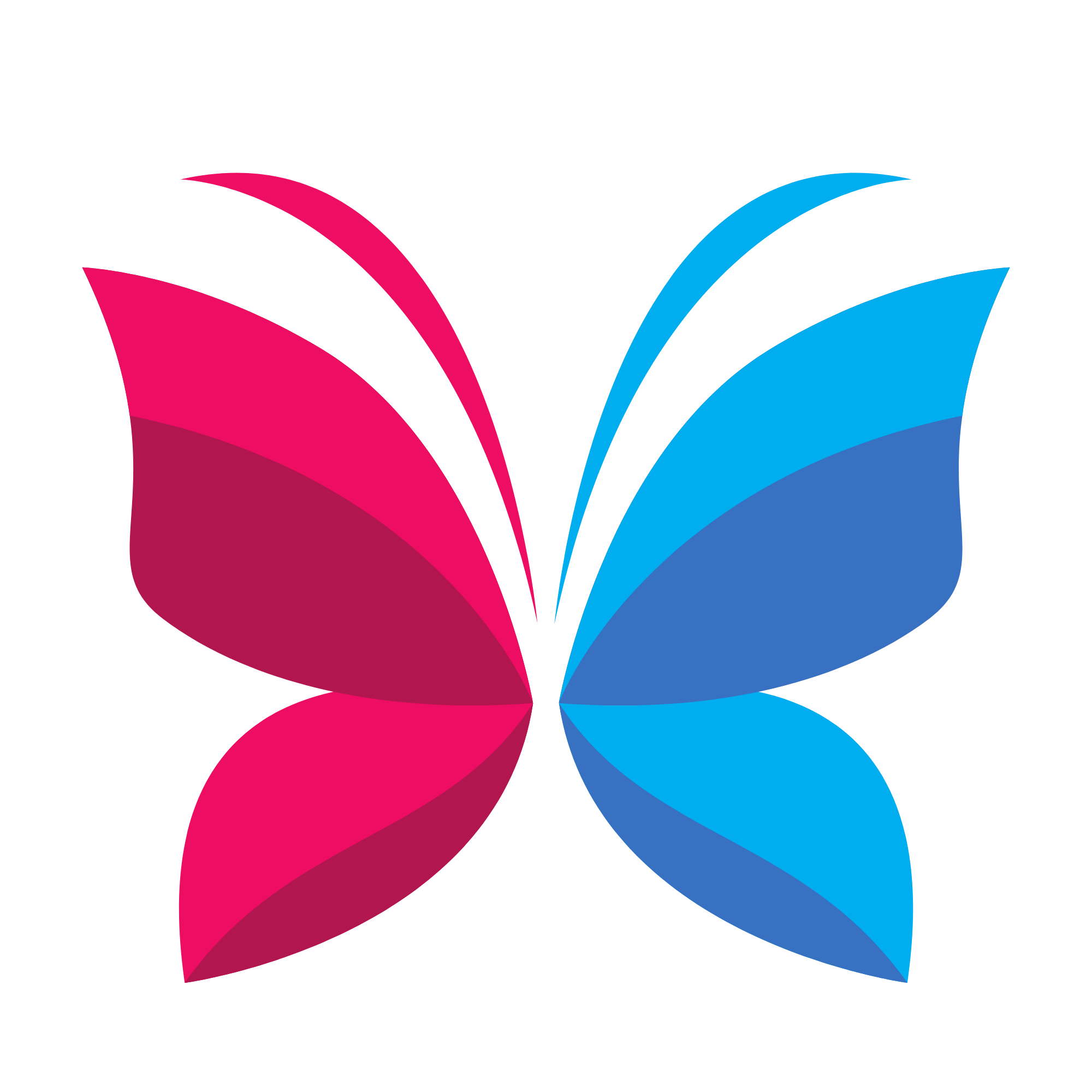 BD Dukan Logo