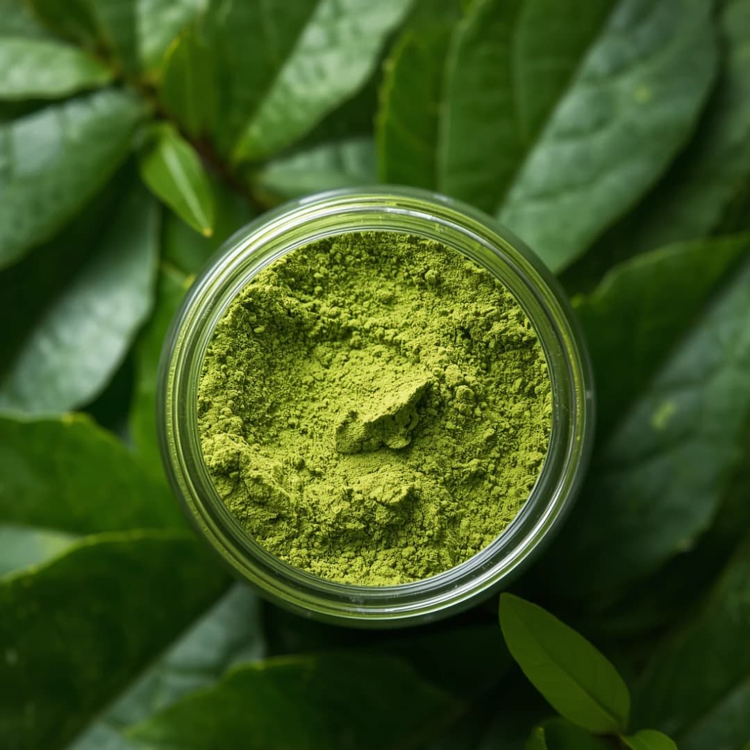 Pure Moringa Leaf Powder